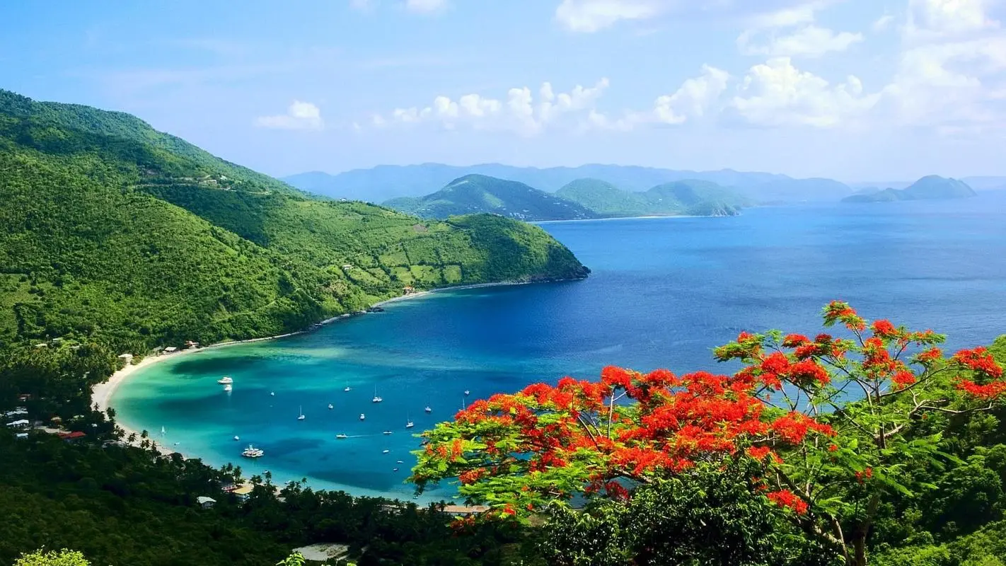 高效可靠性
